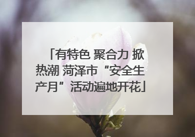 有特色 聚合力 掀热潮 菏泽市“安全生产月”活动遍地开花