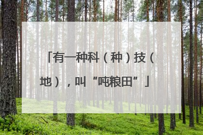 有一种科（种）技（地），叫“吨粮田”