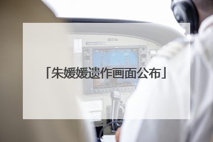 朱媛媛遗作画面公布