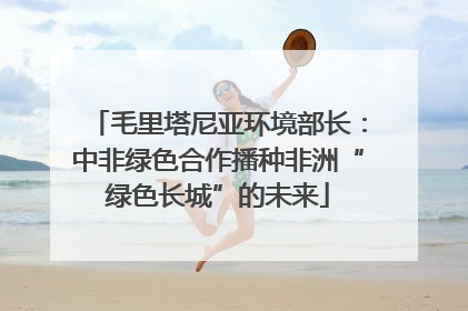 毛里塔尼亚环境部长：中非绿色合作播种非洲“绿色长城”的未来
