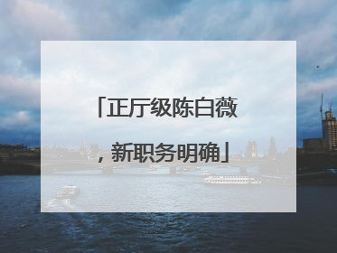 正厅级陈白薇，新职务明确