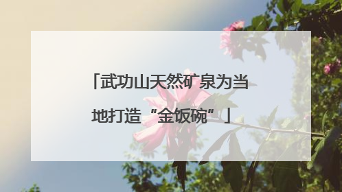 武功山天然矿泉为当地打造“金饭碗”