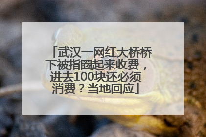 武汉一网红大桥桥下被指圈起来收费，进去100块还必须消费？当地回应