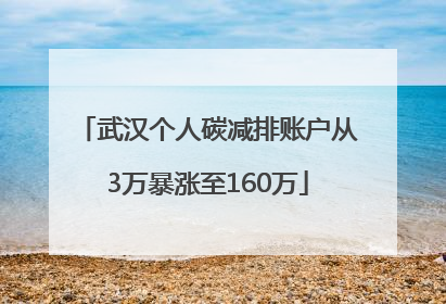武汉个人碳减排账户从3万暴涨至160万