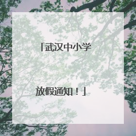 武汉中小学放假通知！