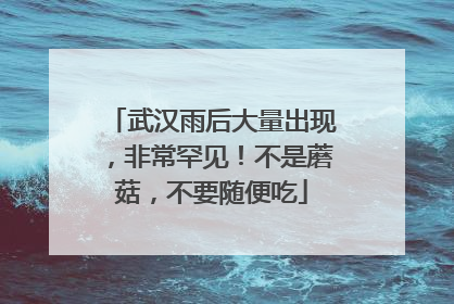 武汉雨后大量出现，非常罕见！不是蘑菇，不要随便吃