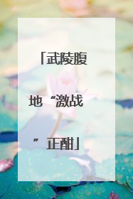 武陵腹地“激战”正酣