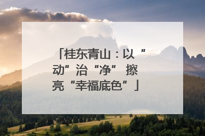 桂东青山：以“动”治“净” 擦亮“幸福底色”