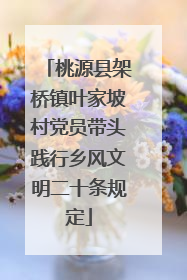 桃源县架桥镇叶家坡村党员带头践行乡风文明二十条规定