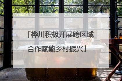 桦川积极开展跨区域合作赋能乡村振兴