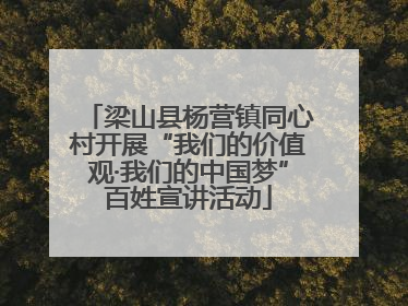 梁山县杨营镇同心村开展“我们的价值观·我们的中国梦”百姓宣讲活动
