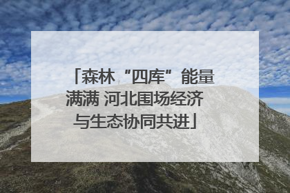 森林“四库”能量满满 河北围场经济与生态协同共进