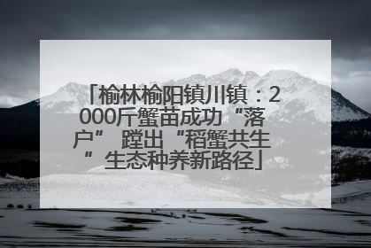 榆林榆阳镇川镇：2000斤蟹苗成功“落户” 蹚出“稻蟹共生”生态种养新路径