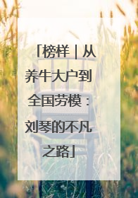 榜样｜从养牛大户到全国劳模：刘琴的不凡之路