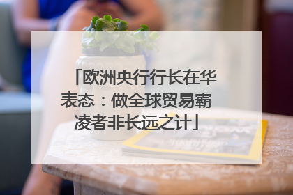 欧洲央行行长在华表态：做全球贸易霸凌者非长远之计