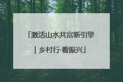 激活山水共富新引擎｜乡村行·看振兴