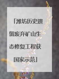 潍坊历史遗留废弃矿山生态修复工程获国家示范