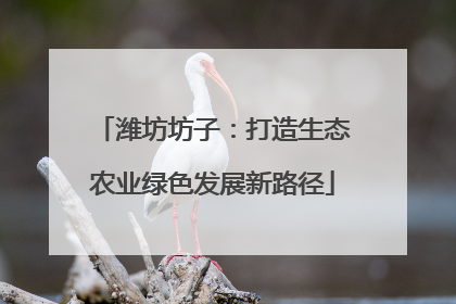 潍坊坊子：打造生态农业绿色发展新路径
