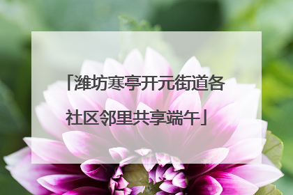 潍坊寒亭开元街道各社区邻里共享端午