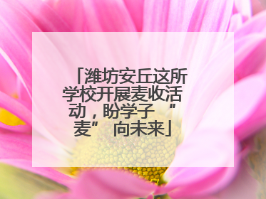 潍坊安丘这所学校开展麦收活动，盼学子 “麦” 向未来
