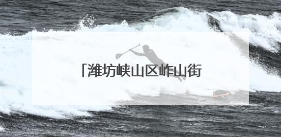 潍坊峡山区岞山街道：聚力集采谋发展 便民惠民办实事