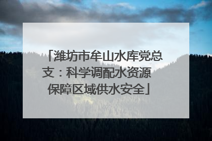 潍坊市牟山水库党总支：科学调配水资源 保障区域供水安全