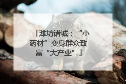 潍坊诸城：“小药材”变身群众致富“大产业”