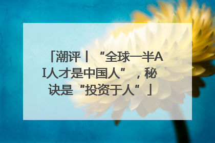 潮评丨“全球一半AI人才是中国人”，秘诀是“投资于人”
