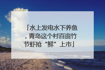 水上发电水下养鱼，青岛这个村百亩竹节虾抢“鲜”上市