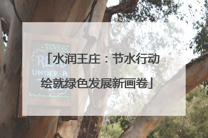 水润王庄：节水行动绘就绿色发展新画卷