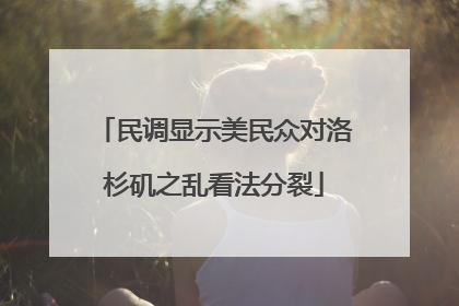 民调显示美民众对洛杉矶之乱看法分裂