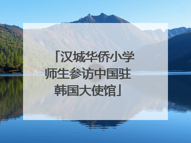 汉城华侨小学师生参访中国驻韩国大使馆