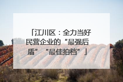 江川区：全力当好民营企业的“最强后盾”“最佳拍档”