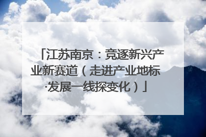 江苏南京：竞逐新兴产业新赛道（走进产业地标·发展一线探变化）
