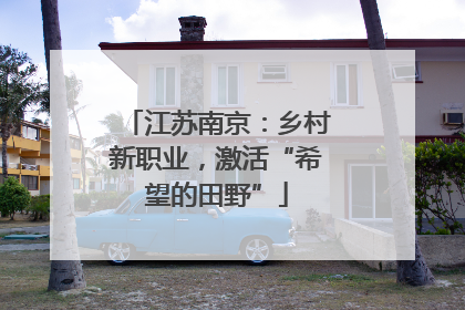 江苏南京：乡村新职业，激活“希望的田野”