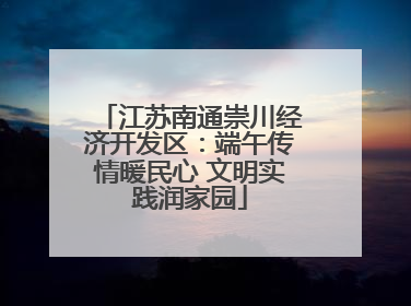 江苏南通崇川经济开发区：端午传情暖民心 文明实践润家园
