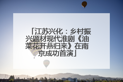 江苏兴化：乡村振兴题材现代淮剧《油菜花开燕归来》在南京成功首演