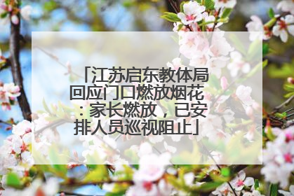 江苏启东教体局回应门口燃放烟花：家长燃放，已安排人员巡视阻止