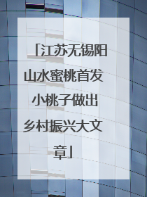 江苏无锡阳山水蜜桃首发 小桃子做出乡村振兴大文章