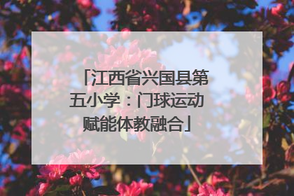 江西省兴国县第五小学：门球运动赋能体教融合