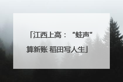 江西上高：“蛙声”算新账 稻田写人生