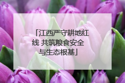 江西严守耕地红线 共筑粮食安全与生态根基