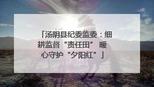 汤阴县纪委监委：细耕监督“责任田” 暖心守护“夕阳红”