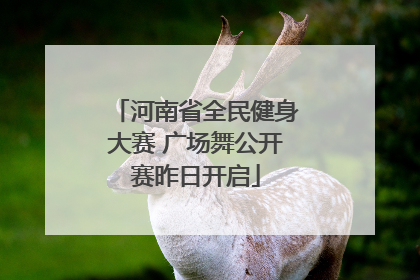 河南省全民健身大赛 广场舞公开赛昨日开启