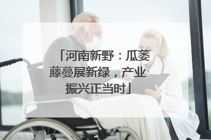 河南新野：瓜蒌藤蔓展新绿，产业振兴正当时