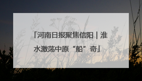 河南日报聚焦信阳｜淮水激荡中原“船”奇