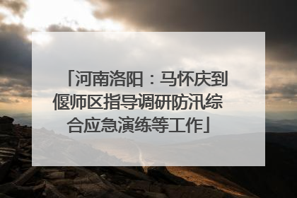 河南洛阳：马怀庆到偃师区指导调研防汛综合应急演练等工作