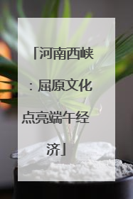 河南西峡：屈原文化点亮端午经济