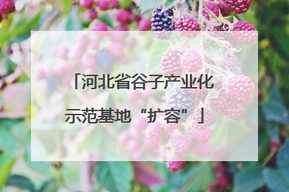 河北省谷子产业化示范基地“扩容”