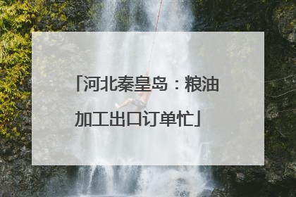 河北秦皇岛：粮油加工出口订单忙